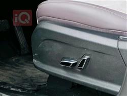 بي واي دي سونغ بلس